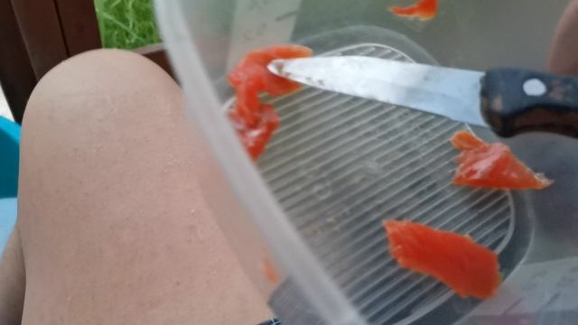 СОЧИ ГОРНОЕ ЛОО ВЕЧЕР 04.09.2025 смотреть онлайн