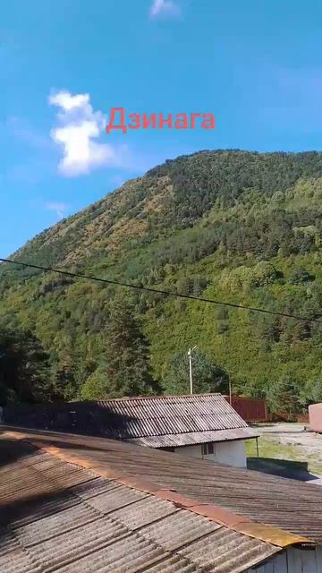 Дзигана👆👆👆