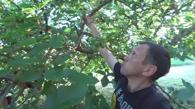 Гаражная жизнь Алексея