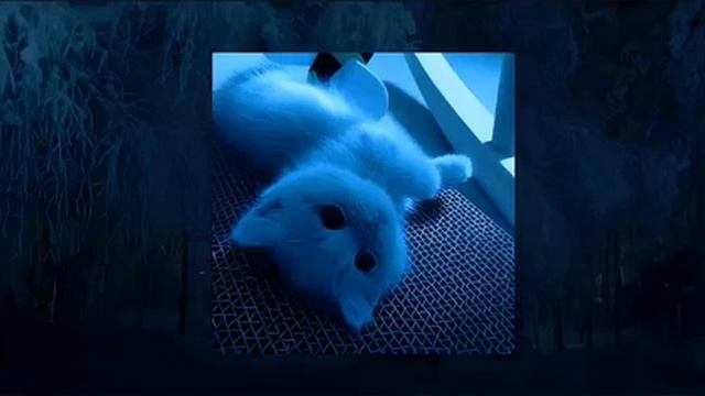 вайбовый плейлист песен ( speed up ) смотреть онлайн