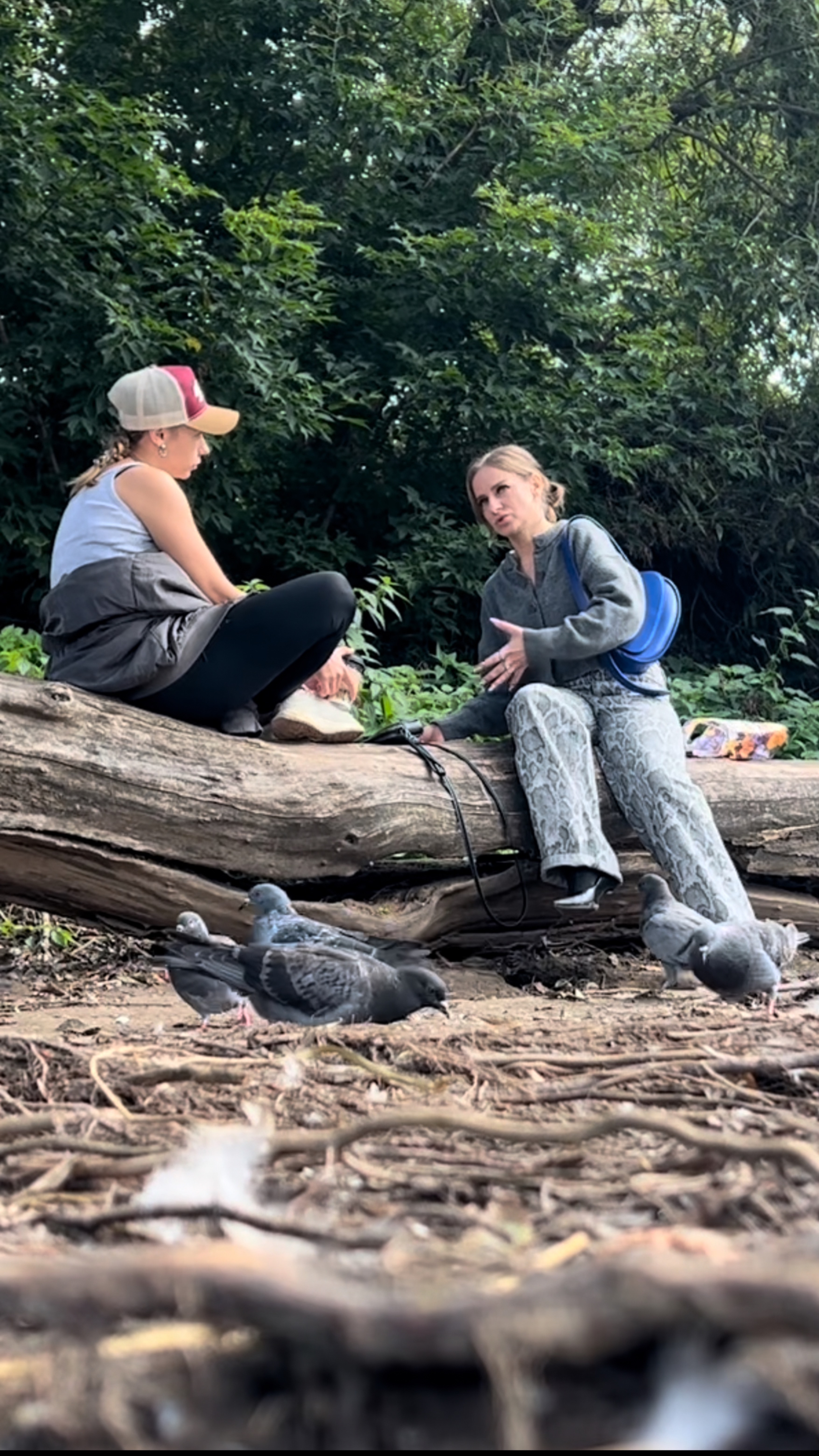 Ценность дружбы