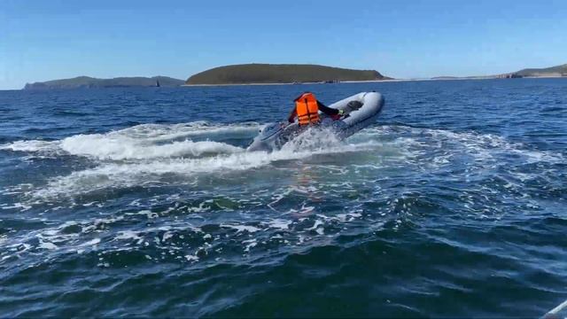 Лодка ПВХ АНДРОМЕДА 335 киль #motosnab #vdk #sharmax#andromeda#лодка #лодочныймотор#лодкадлярыбалки смотреть онлайн