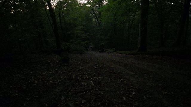 DJI_0092 смотреть онлайн