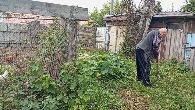 МУЖ ОТВЕЧАЕТ НА КОММЕНТАРИИ, А Я ВАРЮ ЛЕЧО смотреть онлайн