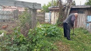 МУЖ ОТВЕЧАЕТ НА КОММЕНТАРИИ, А Я ВАРЮ ЛЕЧО