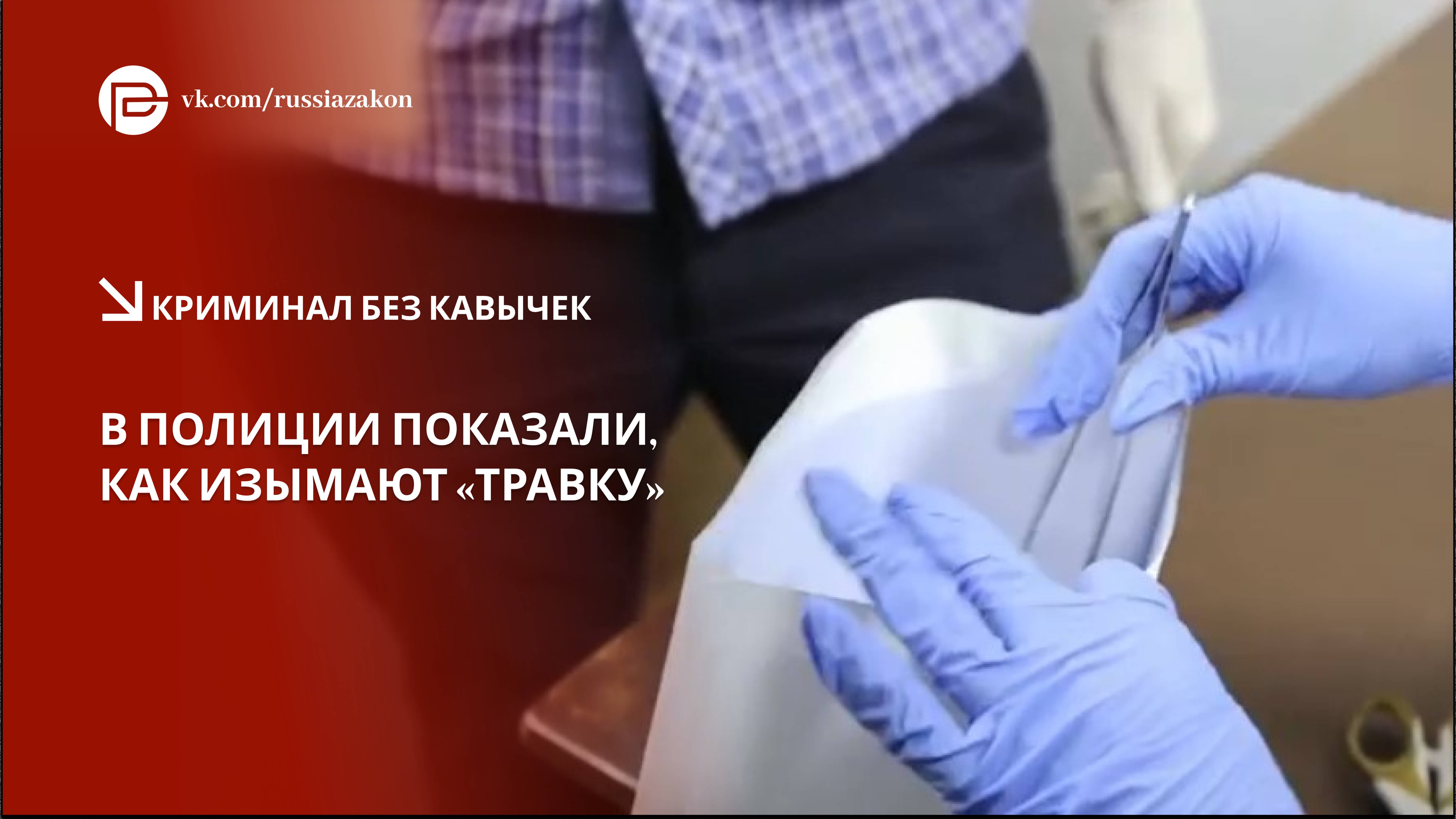 В полиции показали, как изымают "травку" смотреть онлайн