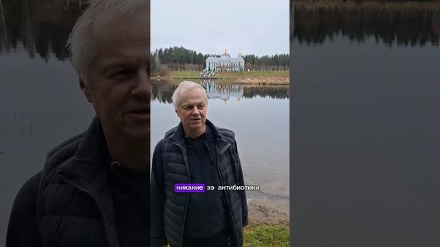 Огневка. Восковая  моль.
Польза Огневки.
Как принимать Огневку