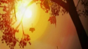 🍂 Осенний футаж — красивый фон для текста и заставки