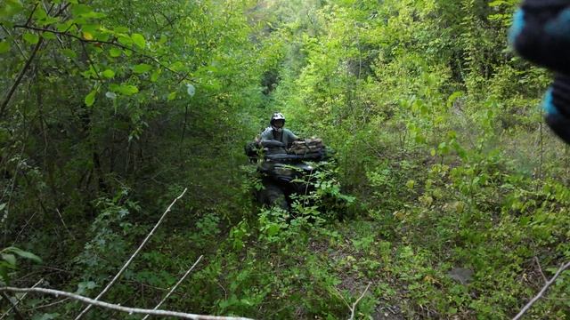 DJI_0075 смотреть онлайн