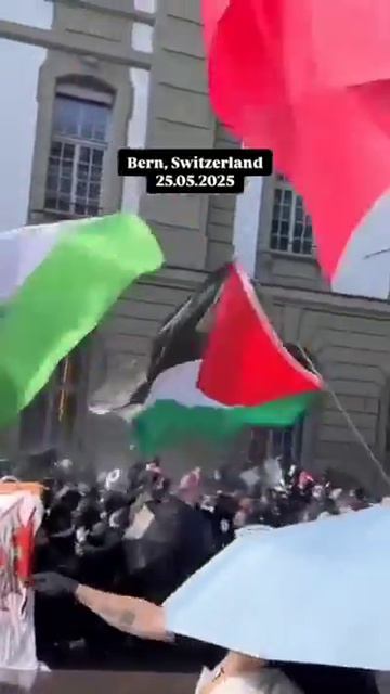 #Швейцария #Полиция Разгон адептов секты Free Palestine при помощи водометов смотреть онлайн
