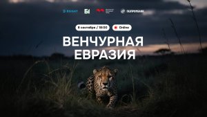 Венчурная Евразия: итоги первого полугодия 2025