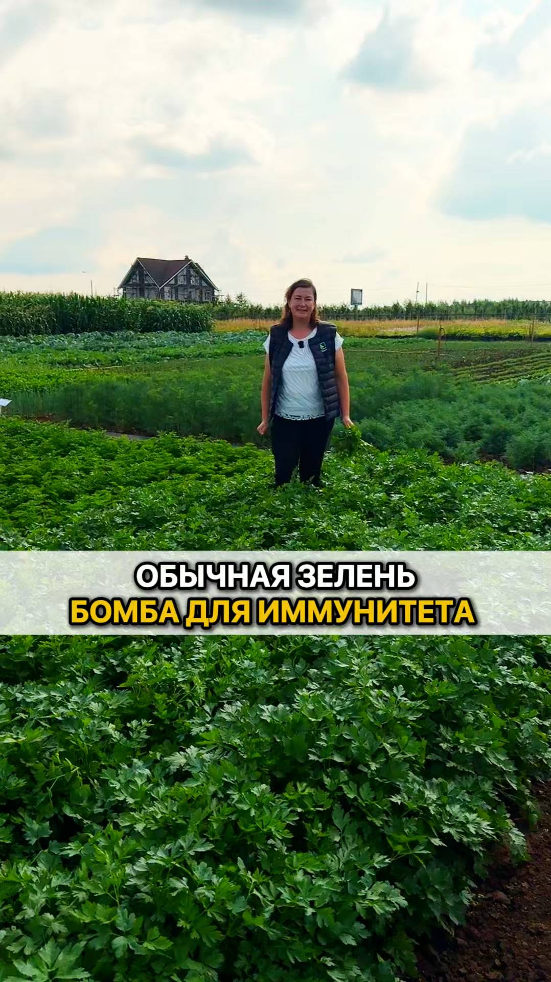 Как сохранить зелень зимой, чтобы она принесла настоящую пользу?