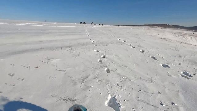 Sharmax Expert Pro 250-177 покатушка в -60 градусов😂 смотреть онлайн