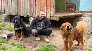 Поспорили с женой. Чем все это закончится? Полезные обновки. Ремонт в деревенском доме продолжается.