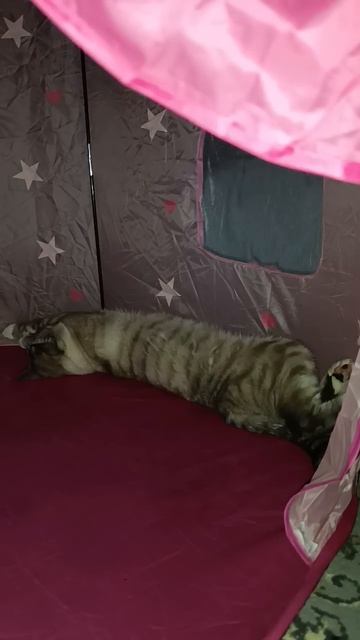 16 мая 2025 г. смотреть онлайн