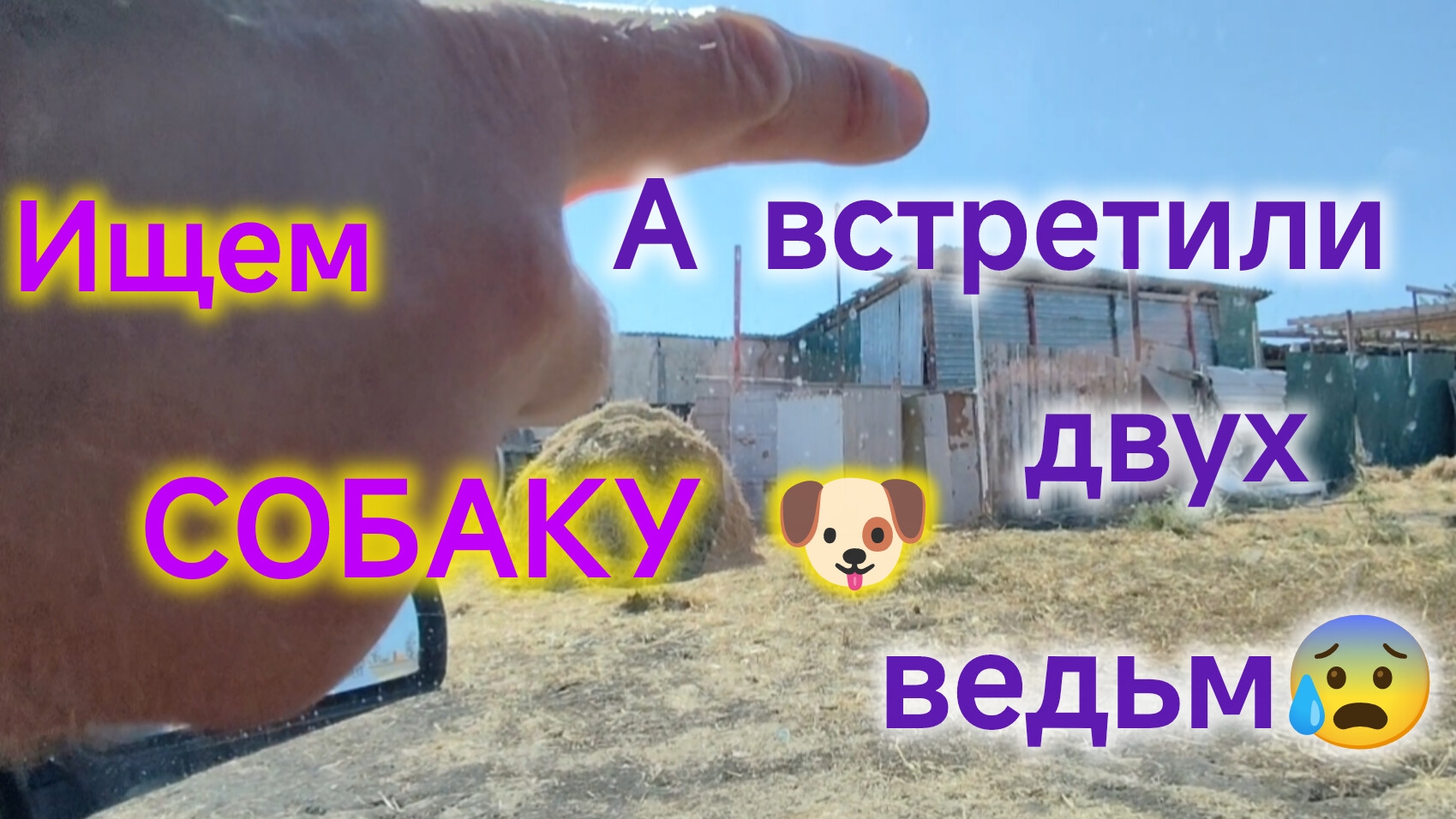 Ремонт в МОРЕВКЕ❤️/Искали собаку, нашли 💀 ОВЦУ😰 и встретили двух ВЕДЬМ👻👻/Сделали КРЫШУ 🎉 смотреть онлайн