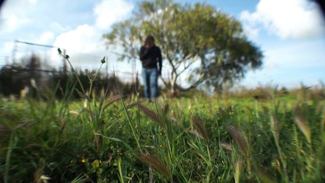 15 - grading1 смотреть онлайн