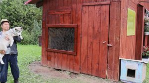 Сделал вольер для Хаски!