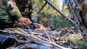 В изоляции 9 сезон 4 серия «Бобёр» (документальный сериал, 2022)