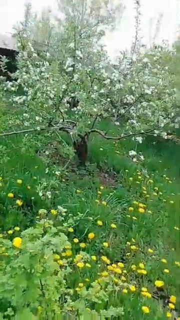 мама 2025 год смотреть онлайн