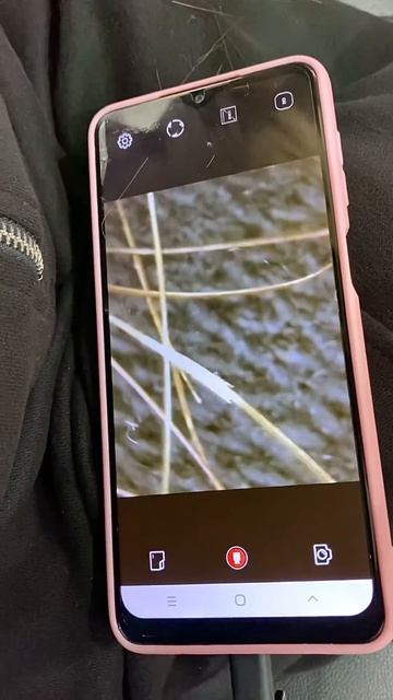 Как избавиться от ёлки? Чем запечатать сечение волос? смотреть онлайн