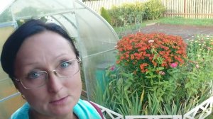 Видео привет с 6 соток 30 августа 2025 года