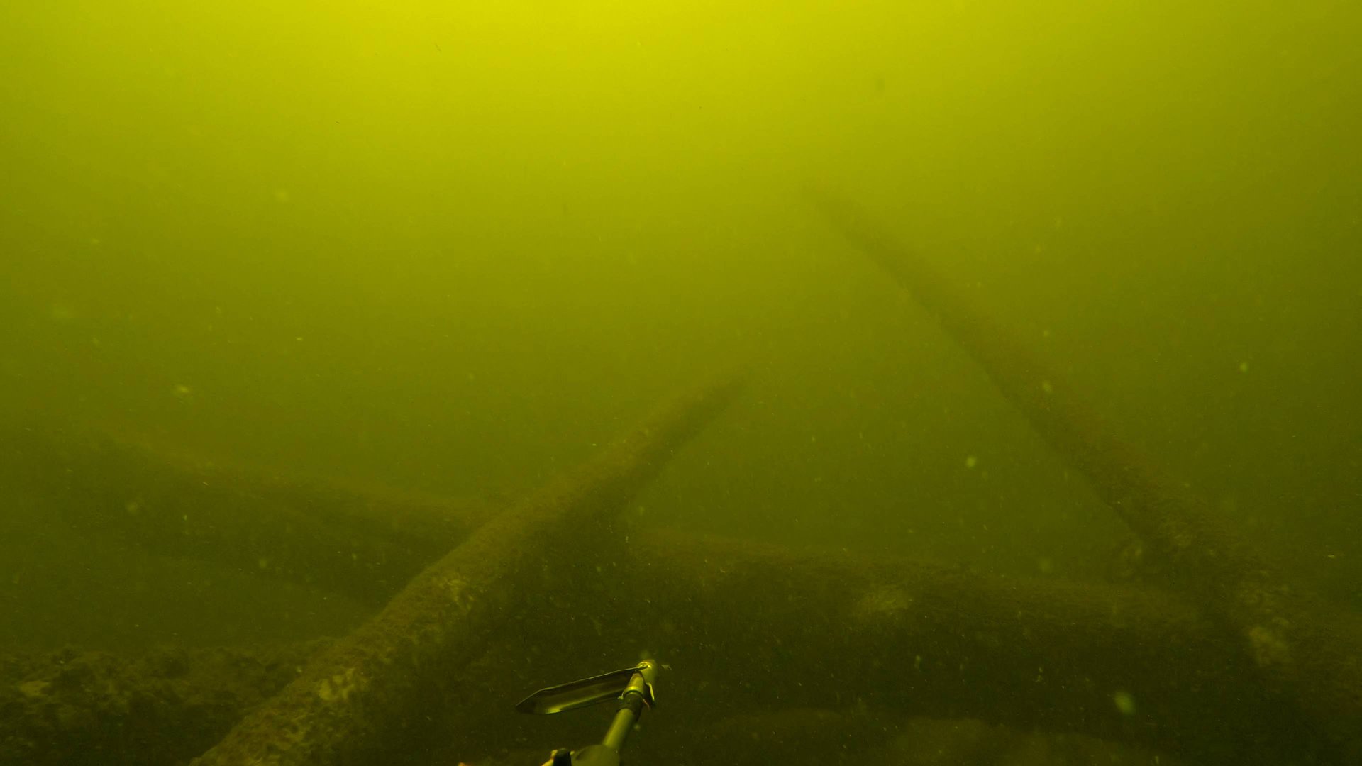 Неожиданная встреча с ОГРОМНЫМИ АМУРАМИ в КОРЯГАХ на Реке Волга в Волгограде.