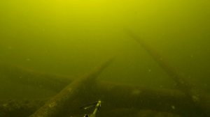 Неожиданная встреча с ОГРОМНЫМИ АМУРАМИ в КОРЯГАХ на Реке Волга в Волгограде.