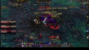 шимпанзуев шимпанзуев