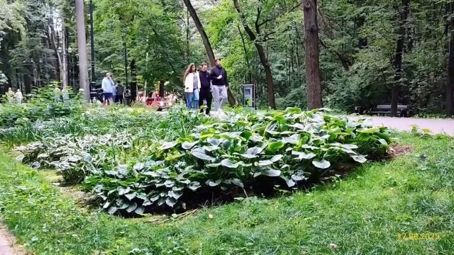 Филёвский парк 17.08.2025