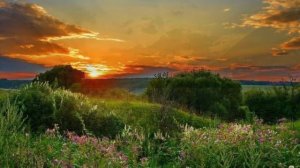 .  ♫.   Иосиф Кобзон -   «Платье» , музыка-Александр Морозов, слова-Николай Зиновьев