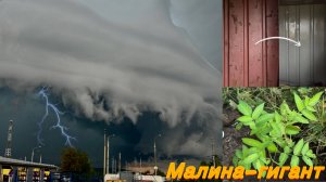 Попали в грозовую бурю  | Утепляем пол в морском контейнере | Неожиданные гости | Первые посадки^^