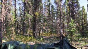 В изоляции 10 сезон 1 серия «Игра началась» (документальный сериал, 2023)