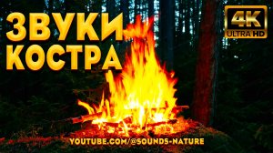 ASMR Звуки Потрескивания Костра И Сверчков - В Ночном Лесу, Для Спокойного Сна. Звуки Природы АСМР.