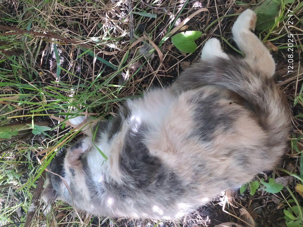 настя смотреть онлайн