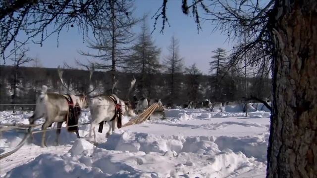 GI_A2PLUS_U5_Vocabulary_video