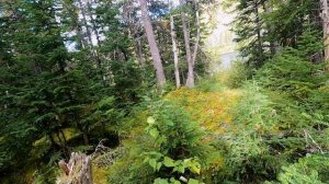 В изоляции 9 сезон 1 серия «Шок от высадки» (документальный сериал, 2022)