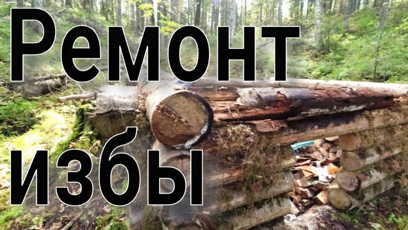 Прошёл до ближайшей избушки вскрыл крышу и понеслось замена верхнего венца поменял доски на нарах смотреть онлайн