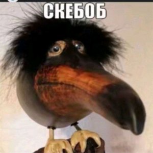 скебоб