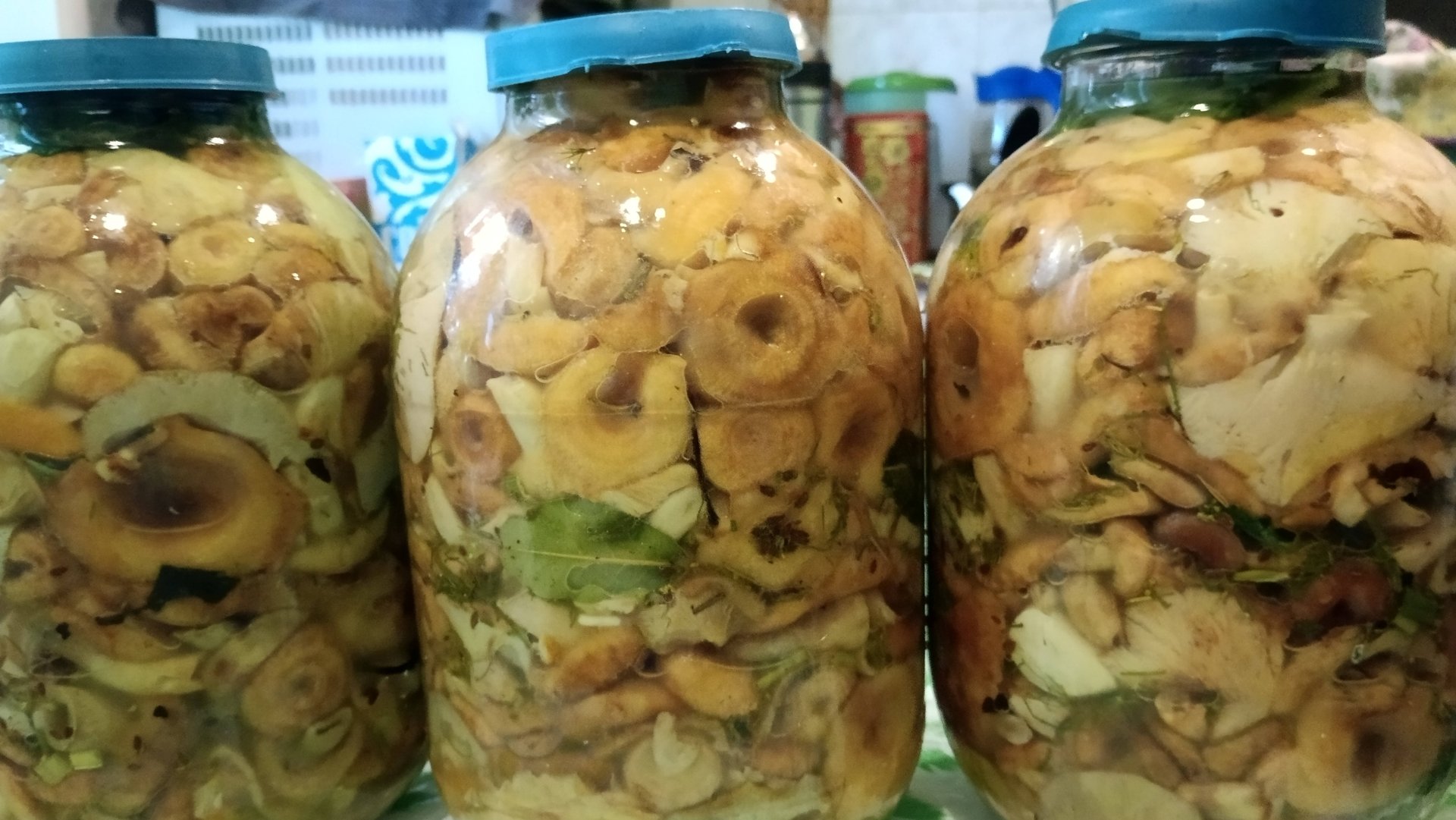 Дневник_ВОЛОГЖАНКИ