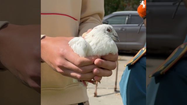 🔥 Чтим наших Героев! 🔥 смотреть онлайн