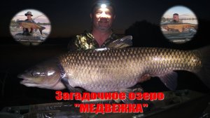 РЫБАЛКА на БЕЛОГО АМУРА. Огромные рыбы загадочного озера "МЕДВЕЖКА"