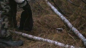 В изоляции 9 сезон 8 серия «Чуйка» (документальный сериал, 2022)