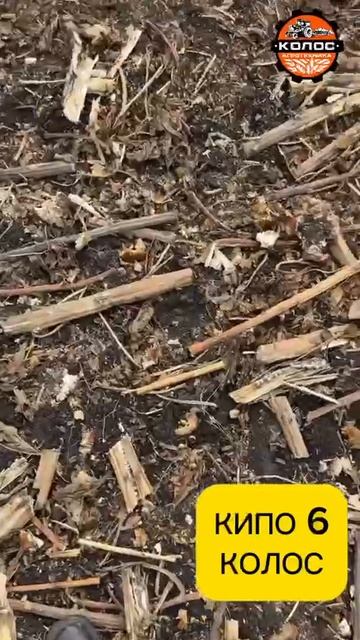 КИПО 6 КОЛОС