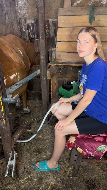 Отзыв на доильный аппарат Agri смотреть онлайн