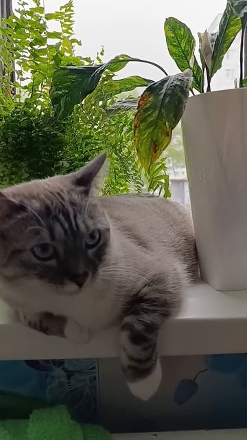 16 мая 2025 г. смотреть онлайн