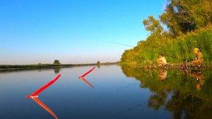 ЖОР САЗАНА НА ПОПЛАВОК - УТАСКИВАЕТ УДОЧКИ!! Рыбалка на поплавок осенью