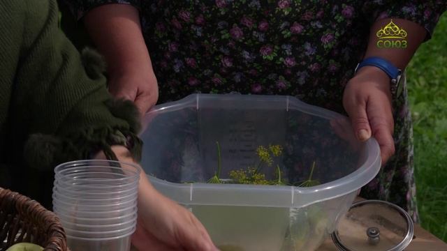 Телеканал СОЮЗ