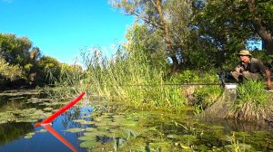 КАРАСИ ЛОПАТЫ И ОНО... ПЕРЕМЕШАЛО КУВШИНКИ!! Рыбалка на поплавок