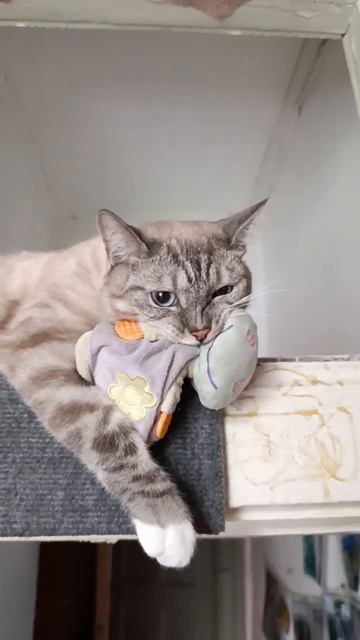 16 мая 2025 г. смотреть онлайн